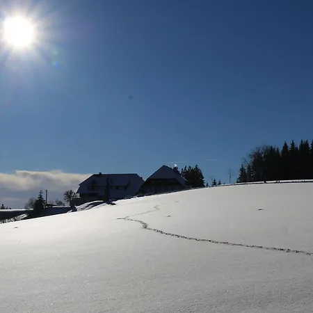 Zum Kreuz Konukevi Sankt Märgen