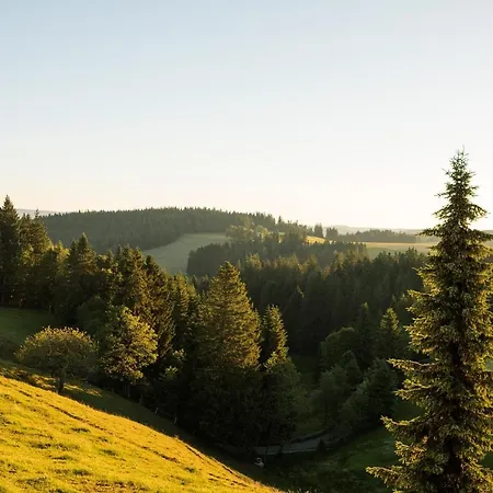 Zum Kreuz Gasthof Sankt Märgen